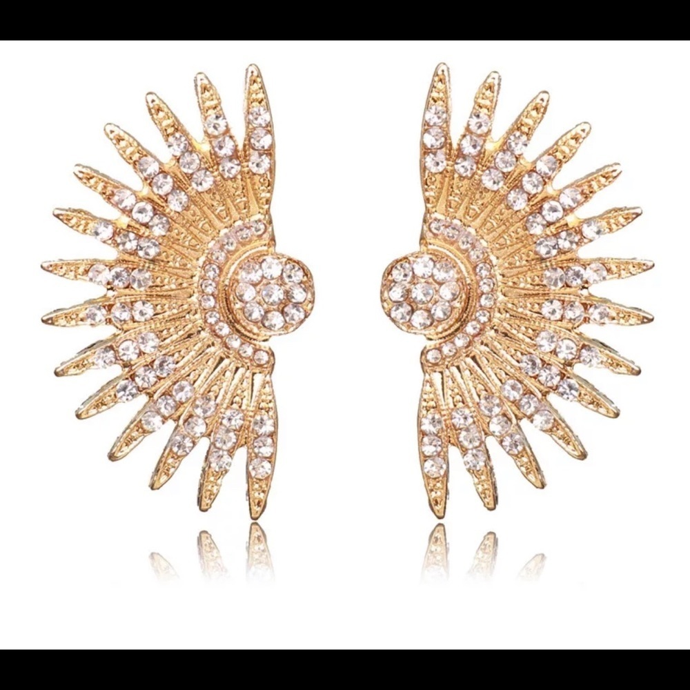 🔥Brand new fashion jewelry earrings